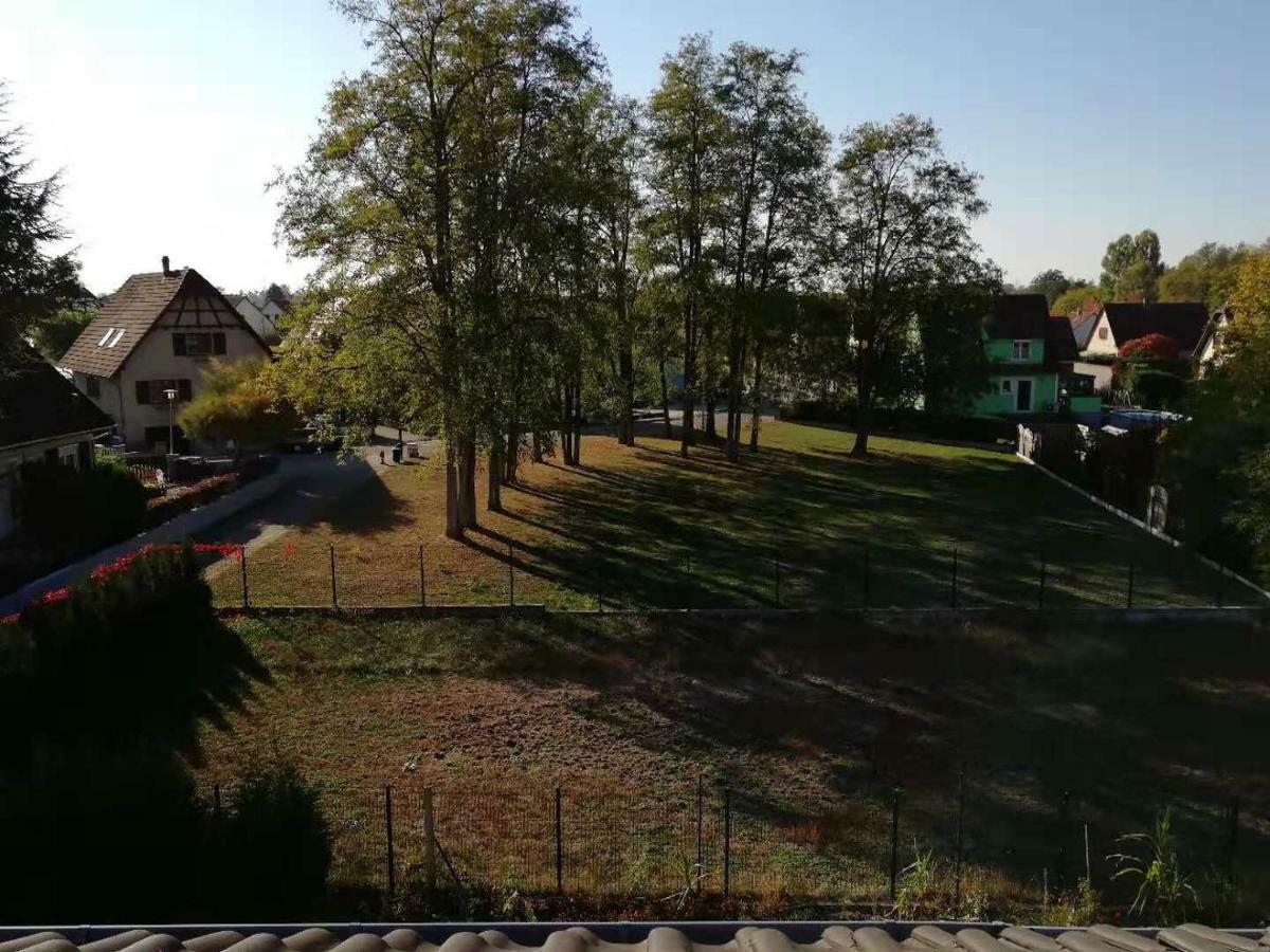 Appart Les Cerises Entre Strasbourg Et Haguenau Bischwiller Kültér fotó