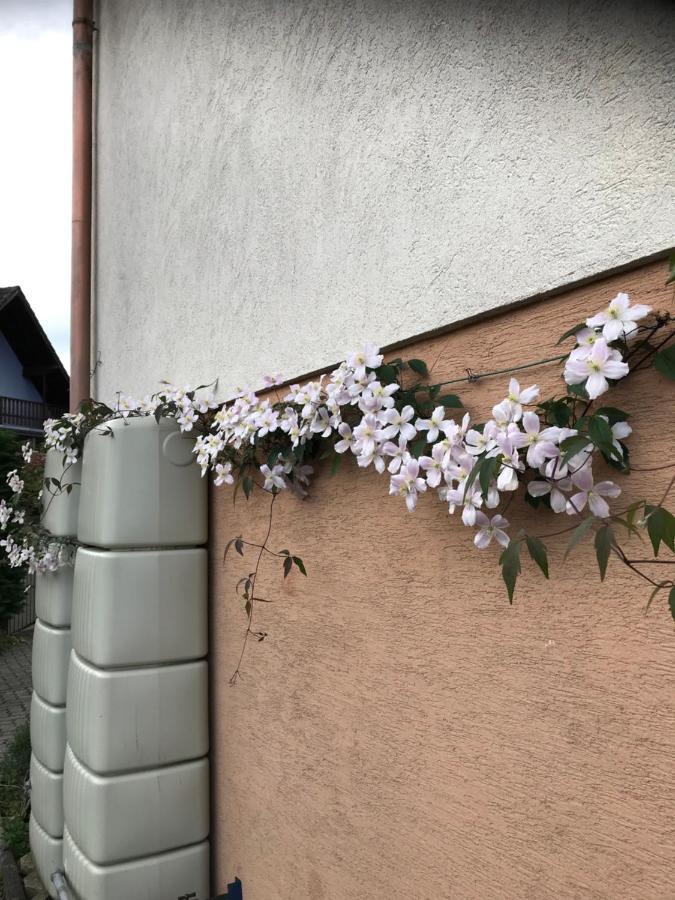 Appart Les Cerises Entre Strasbourg Et Haguenau Bischwiller Kültér fotó