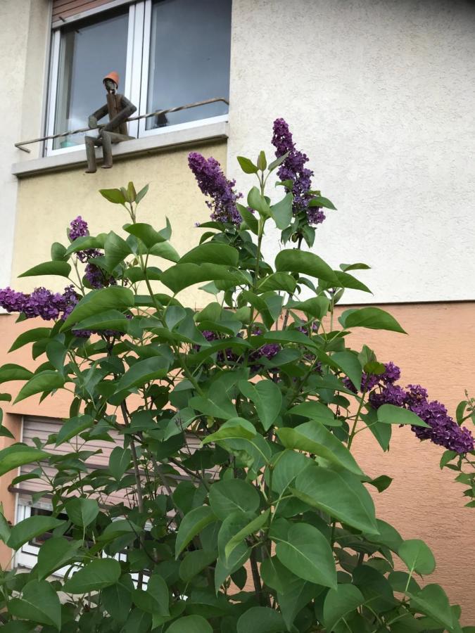 Appart Les Cerises Entre Strasbourg Et Haguenau Bischwiller Kültér fotó